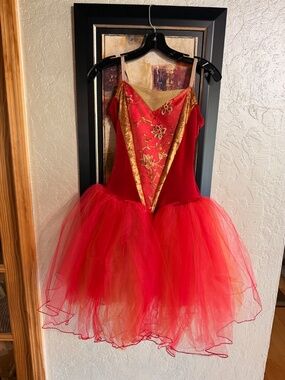 Firebird Suite- Ballet Costume- Shortened Romantic Tutu- Medium Adult
